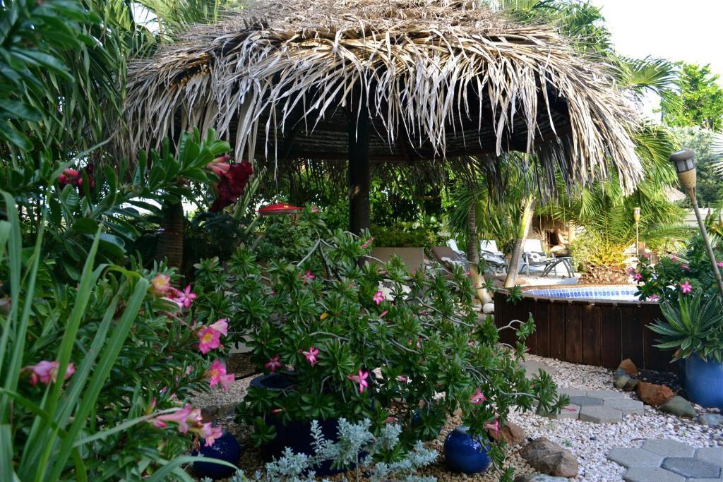 Bananas Apartments Adults Only Palm Beach Dış mekan fotoğraf