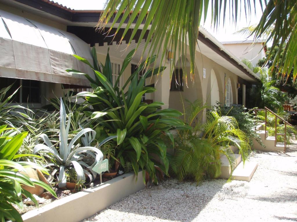 Bananas Apartments Adults Only Palm Beach Dış mekan fotoğraf