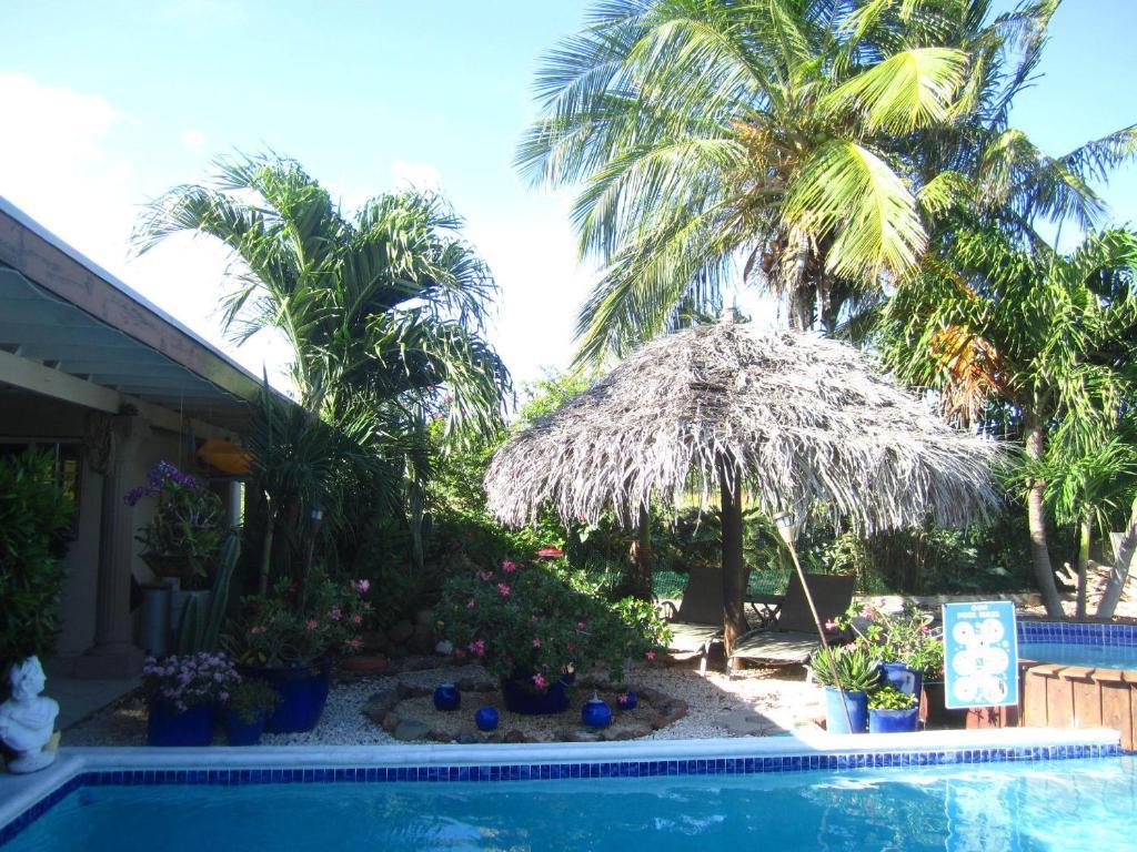 Bananas Apartments Adults Only Palm Beach Dış mekan fotoğraf
