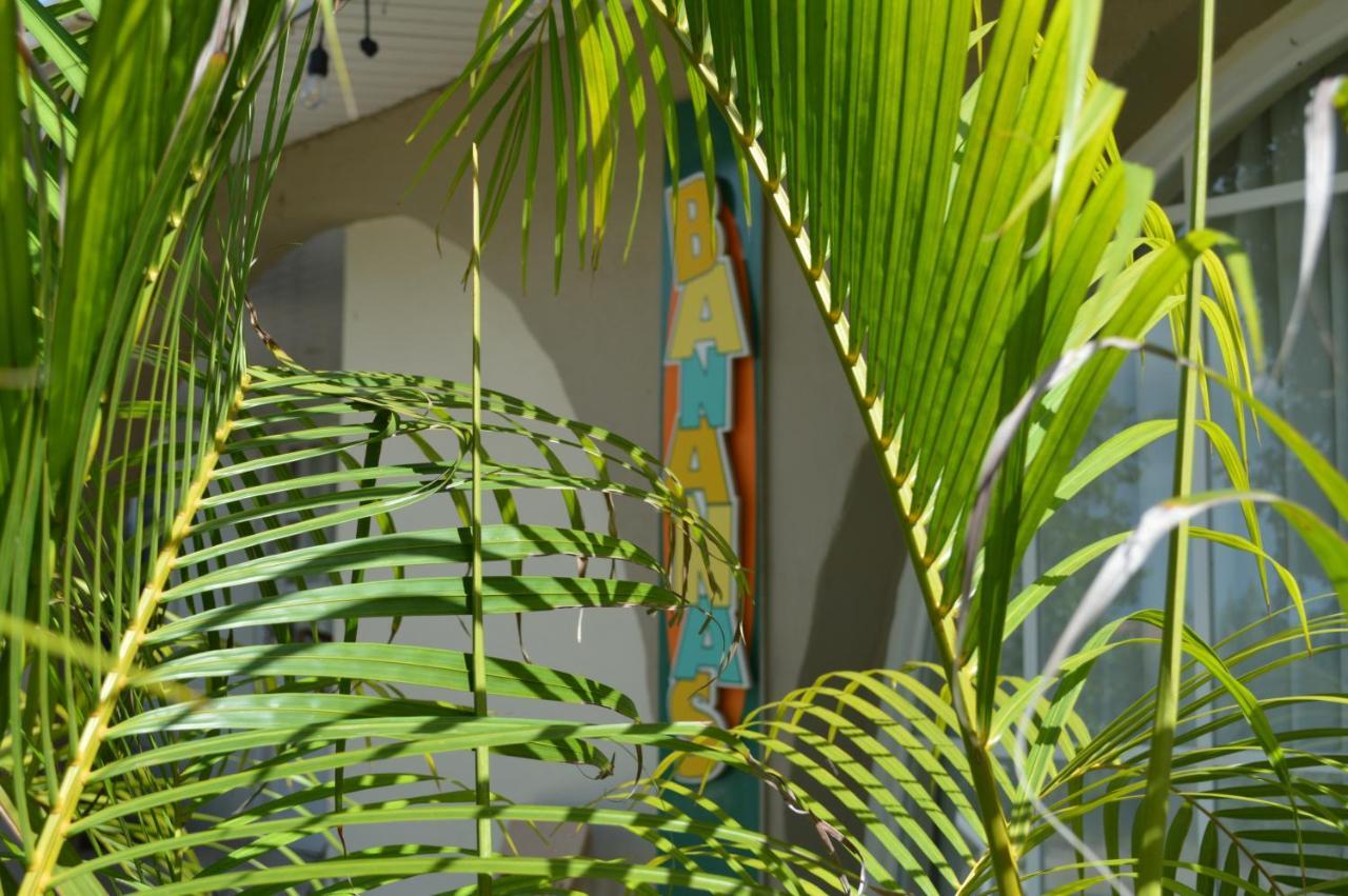 Bananas Apartments Adults Only Palm Beach Dış mekan fotoğraf